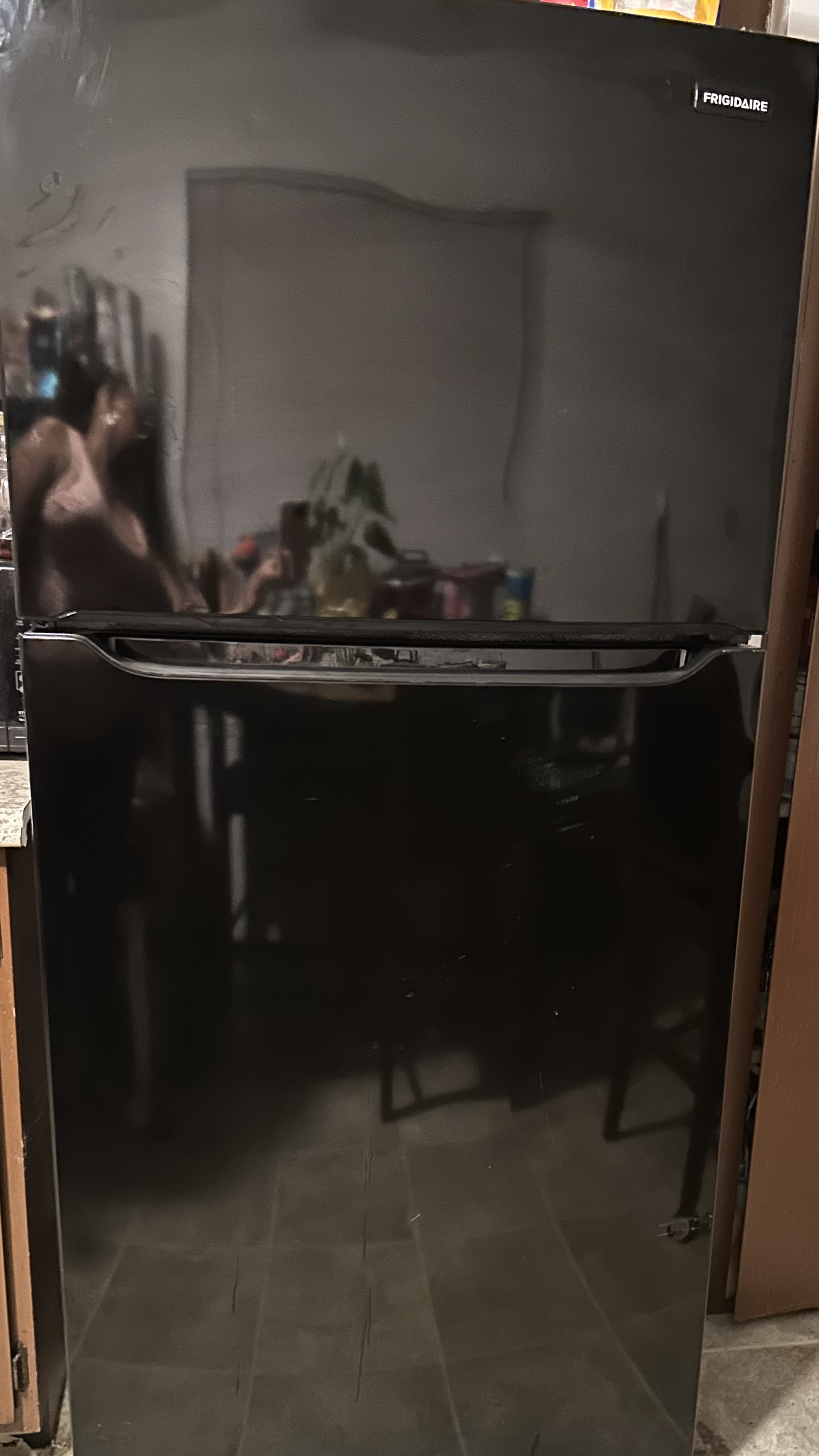 The 3 things that won me over with this refrigerator!