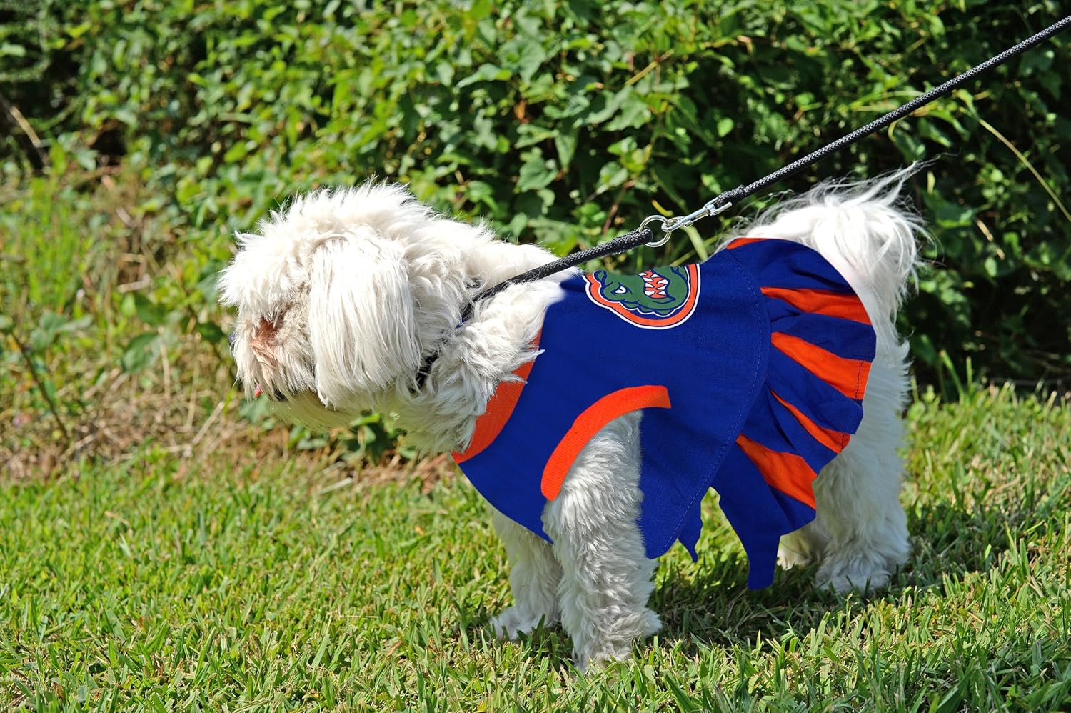 Pets First Collegiate Florida Gators Dog Cheerleader Dress, Small : Pet Supplies