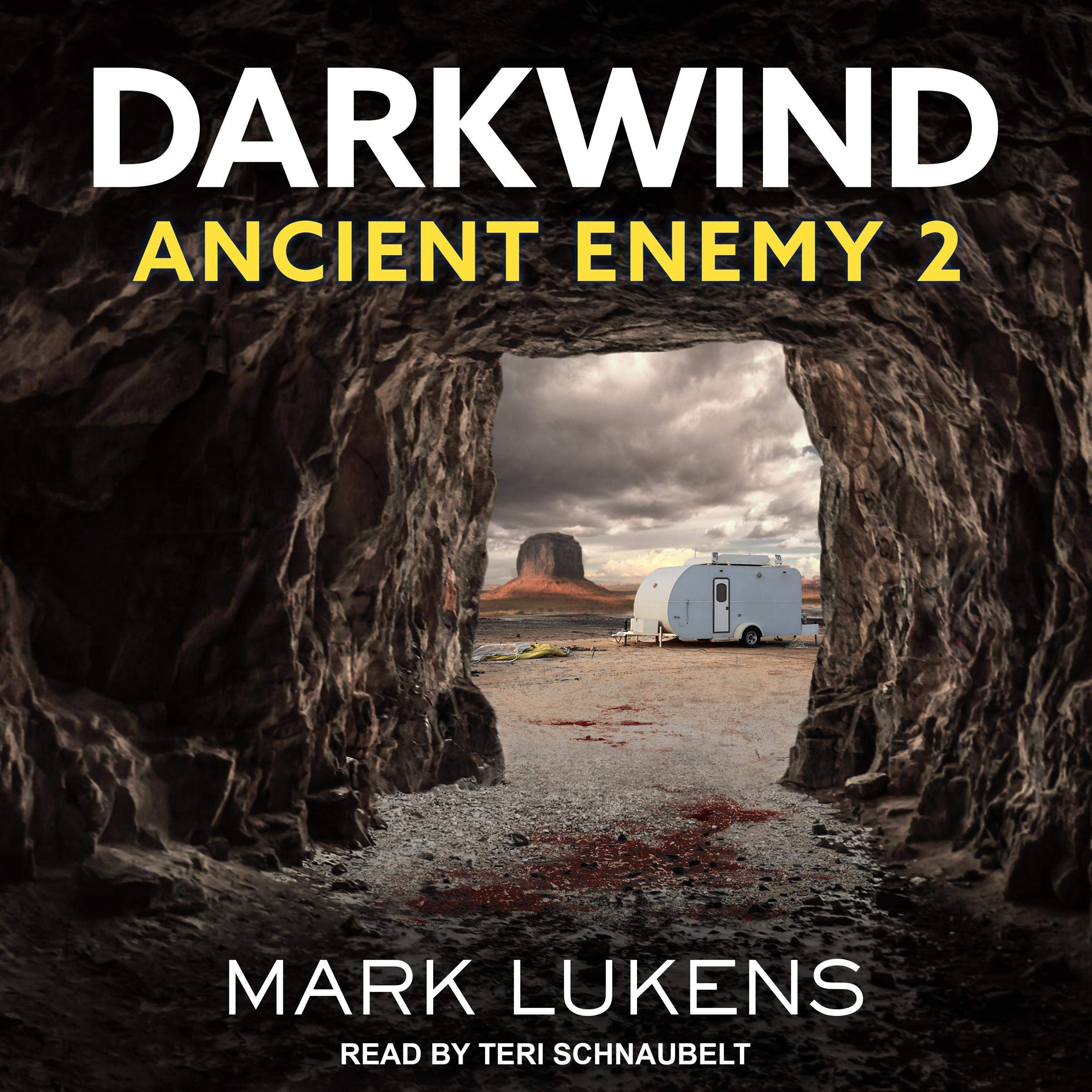 Cover art for Darkwind