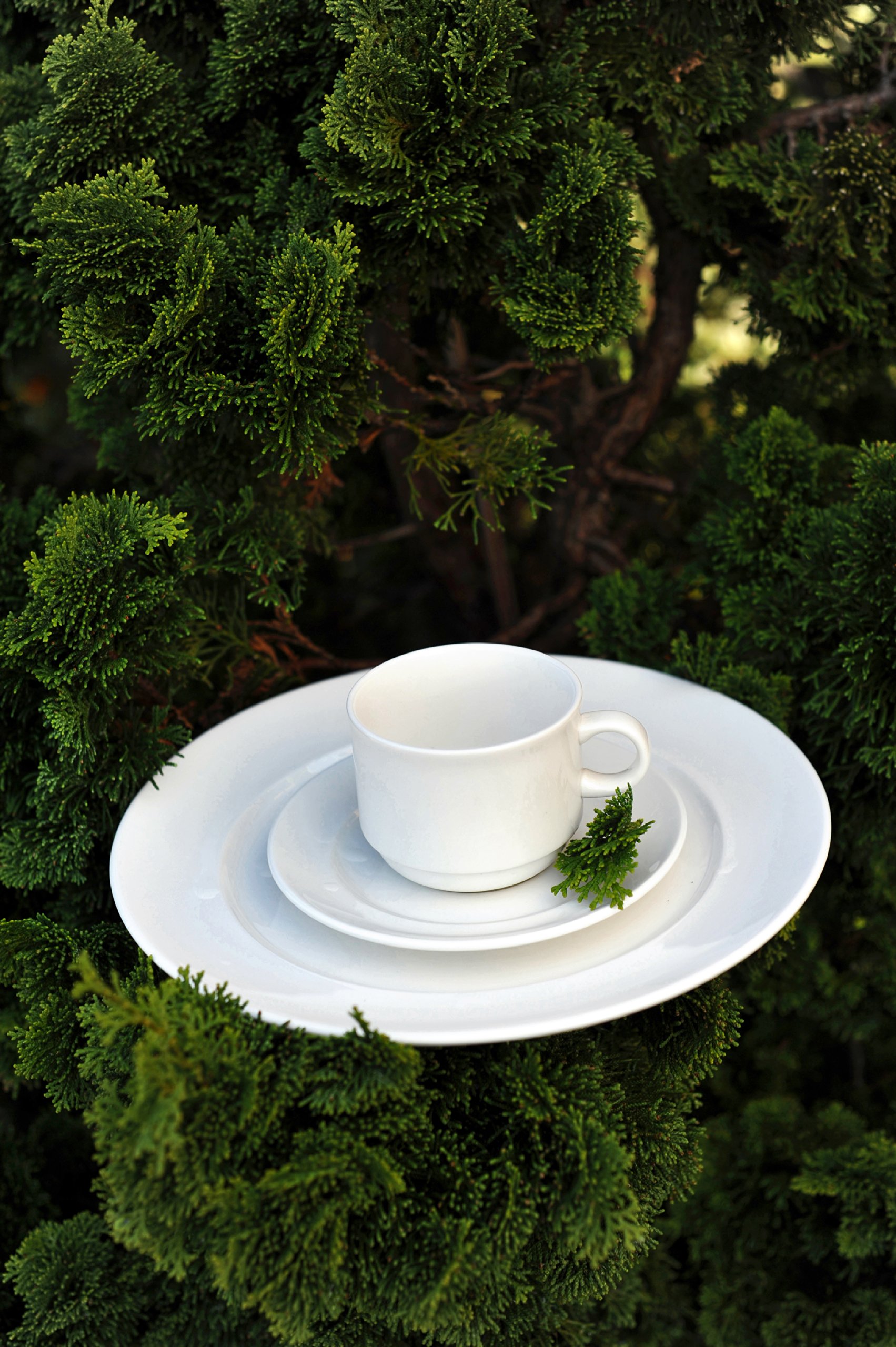 Amazon.com | Fortessa Fortaluxe SuperWhite Vitrified China