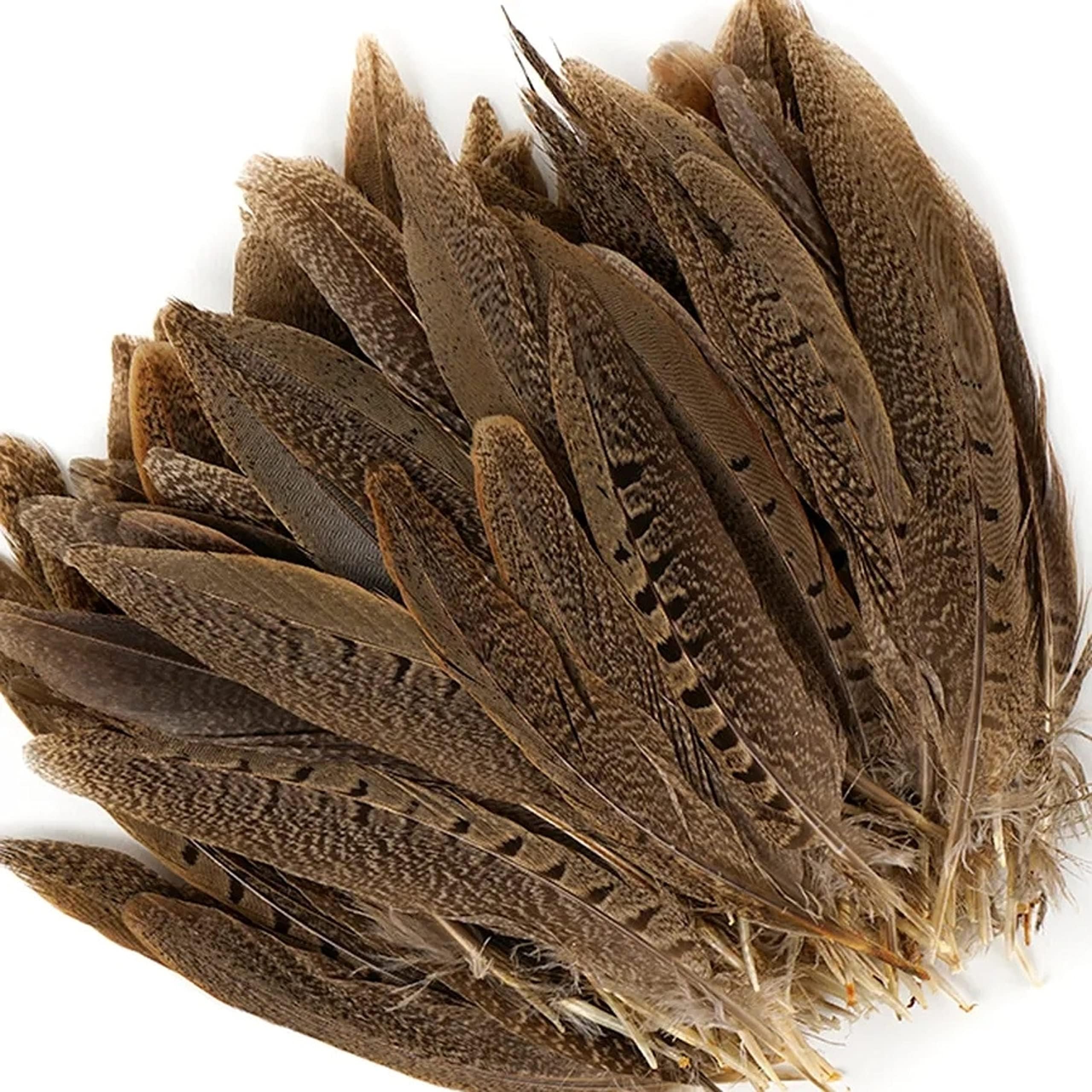 50 Pcs English Ringneck Pheasant Tails 6-8" Feathers
