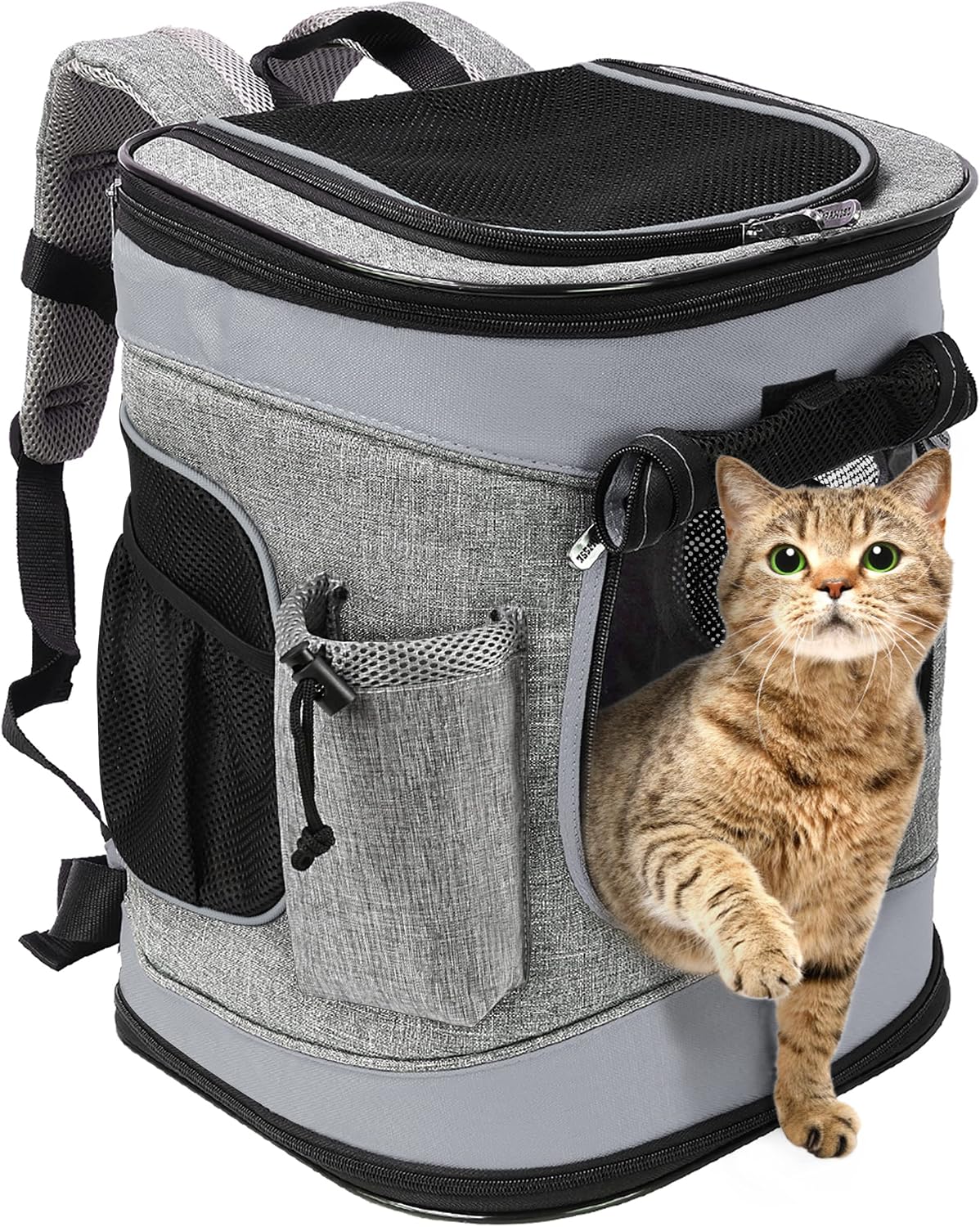 Solaris Dog/Cat Carrier Backpack for Traveling and Outdoors