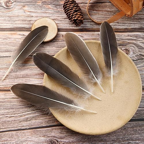 Miniatura 2 de Ballinger Plumas de ganso naturales para manualidades, 120 plumas de 6 a 8 pulgadas a granel para manualidades, alas de ángel, atrapasueños y
