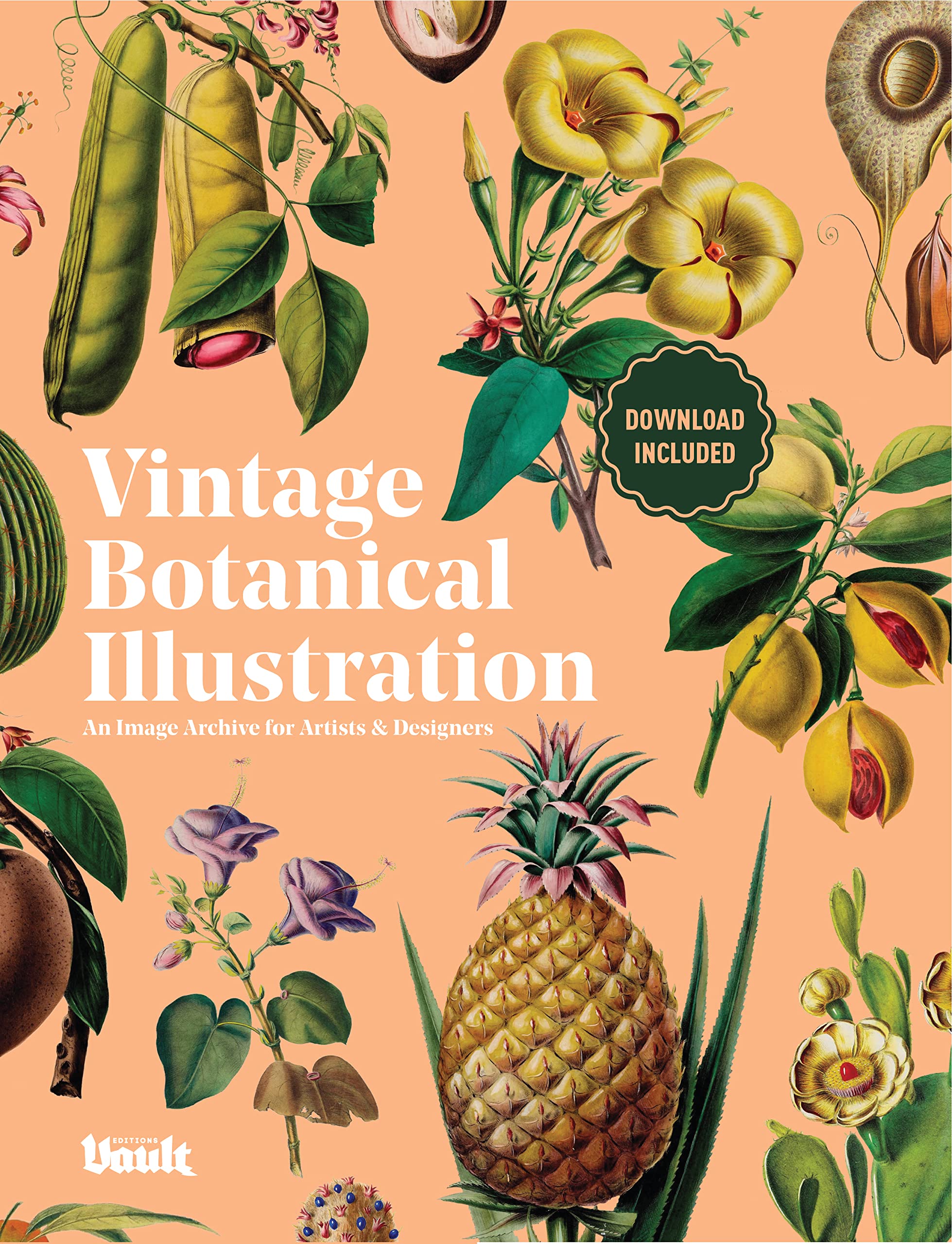 Vintage Botanical Illustration un chef d'œuvre d'archive pour artistes exigeants