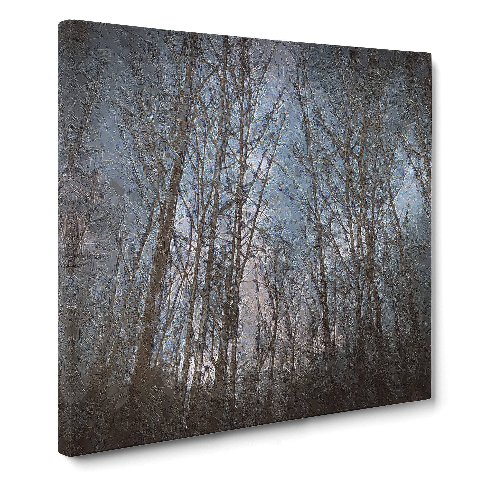 Bare Trees at Twilight Canvas Print, Mixed, 35L x 35W cm