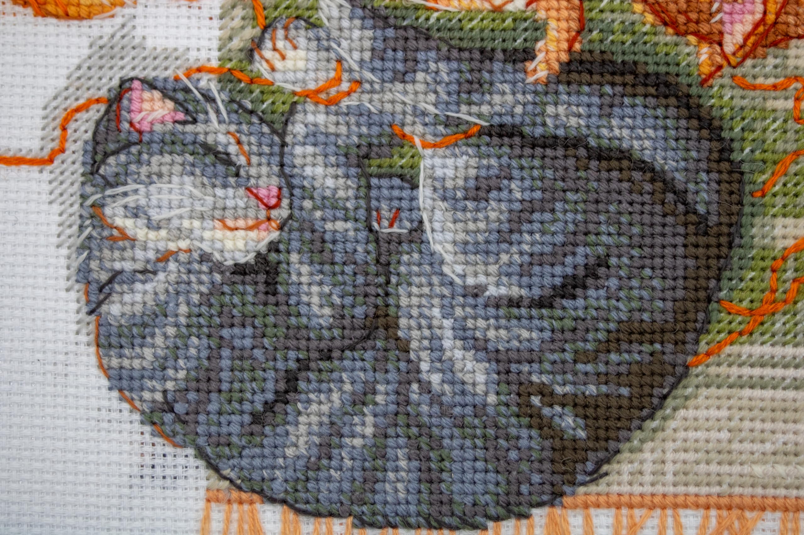 Aine - Gatti e Fili A1035, Gatto Punto croce 20x20cm, Punto croce kit da ricamare, Disegni da ricamare, Embroidery kit, Animali Kit ricamo punto croce