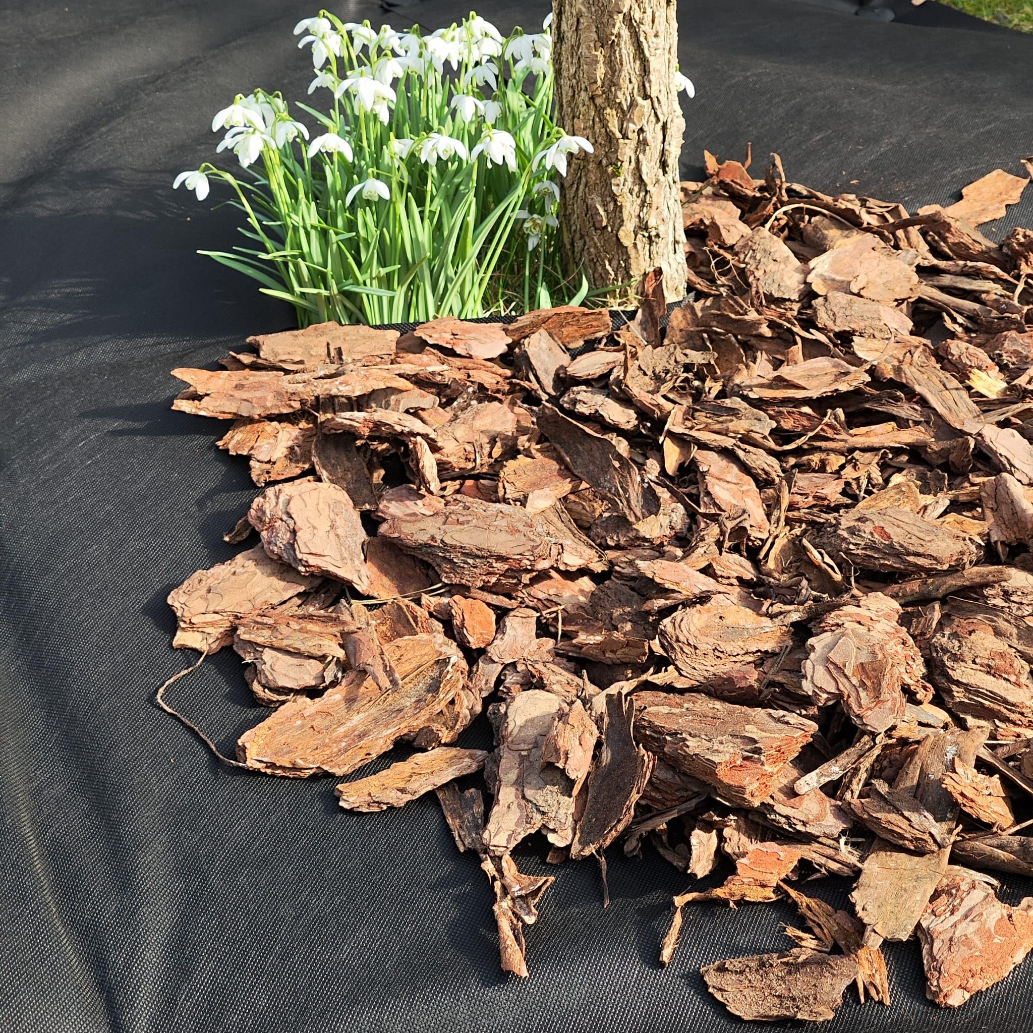 EraGreen Premium Unkrautvlies 100g/m² - 0,8m x 20m Gartenvlies wasserdurchlässig und UV-stabil - Unkrautmatte ideal für Garten und Hochbeet - umweltfreundliche Mulchfolie