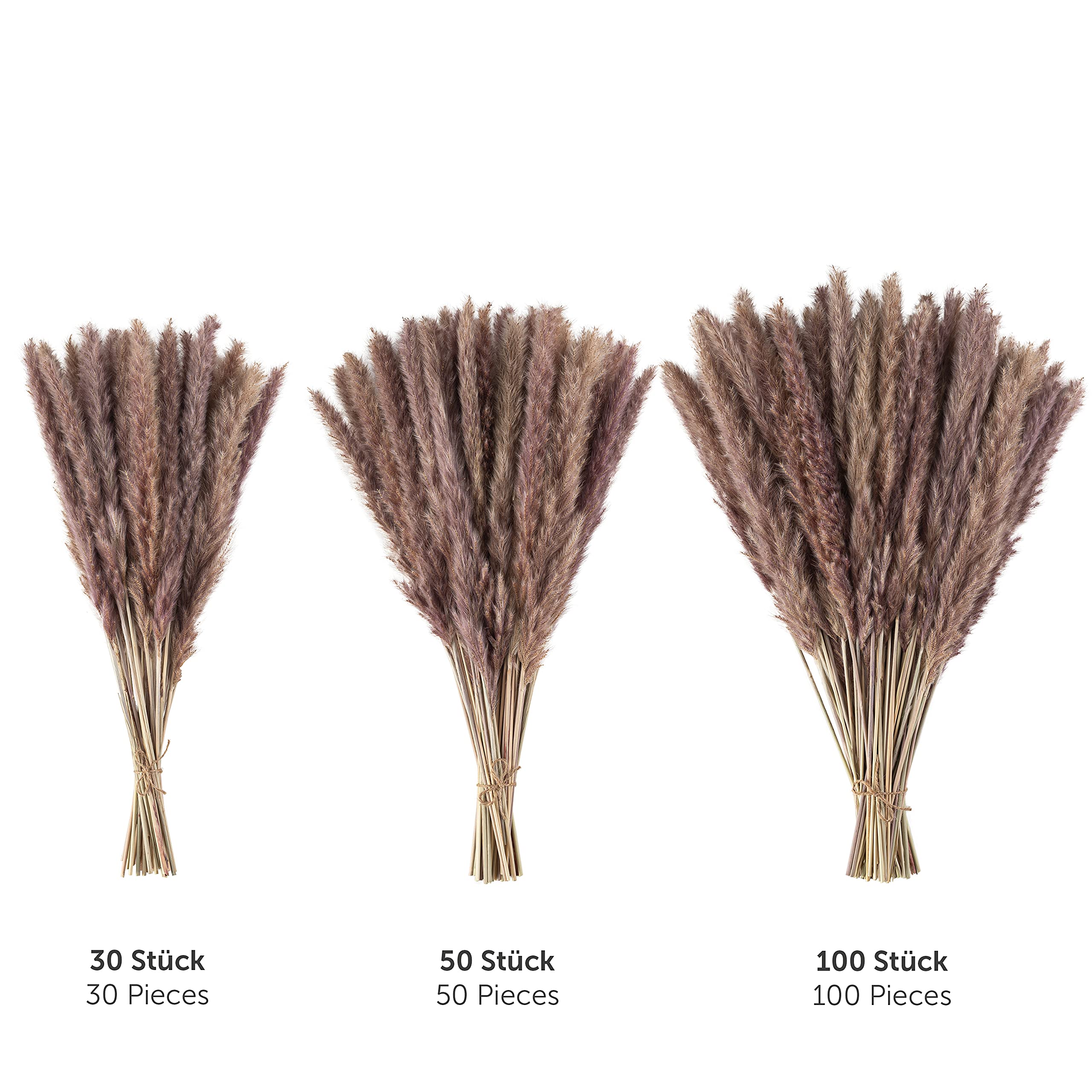 Blumtal Suszone kwiaty trawa pampasowa - 30 szt., 58-60 cm, do bukietów lub dekoracji, pampas Boho styl w kolorze naturalnym brązowym