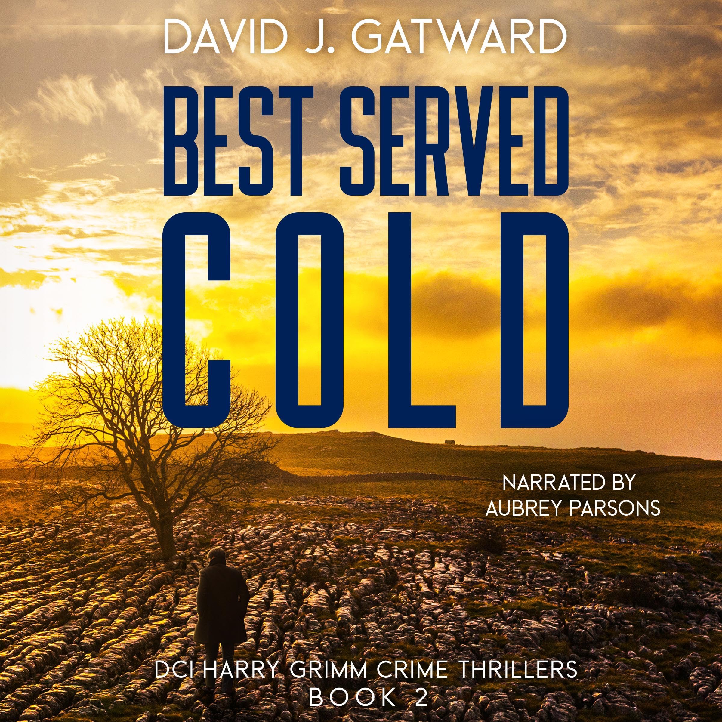 Cover art for Best Served Cold: A DCI Harry Grimm Novel
