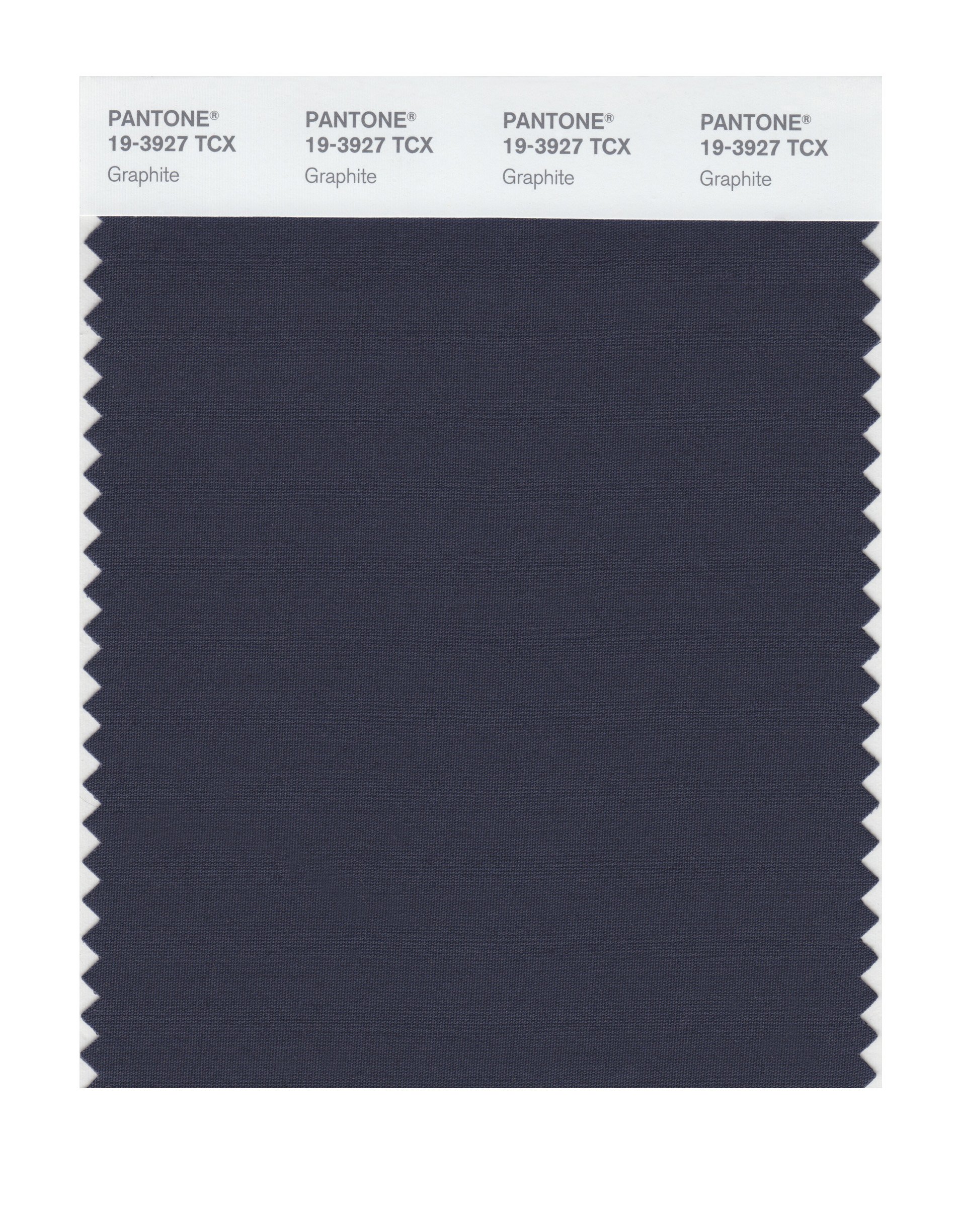 Pantone 19-3927 TCX Smart Color Swatch Card, Graphite