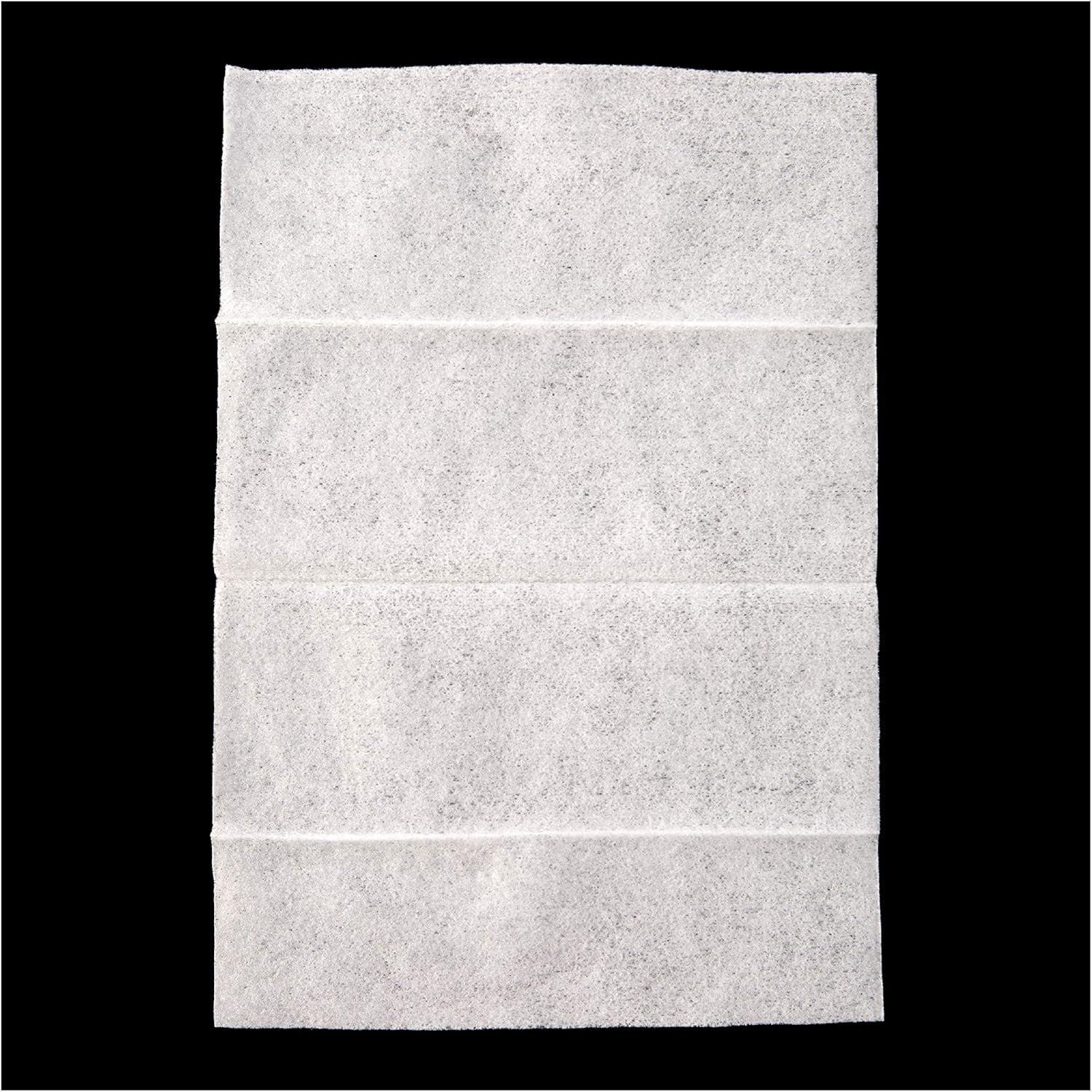 Repel 94100 Sportsmen 30-Percent Deet Mosquito Repellent Wipes, 15 Count 6-Pack : Health & Household