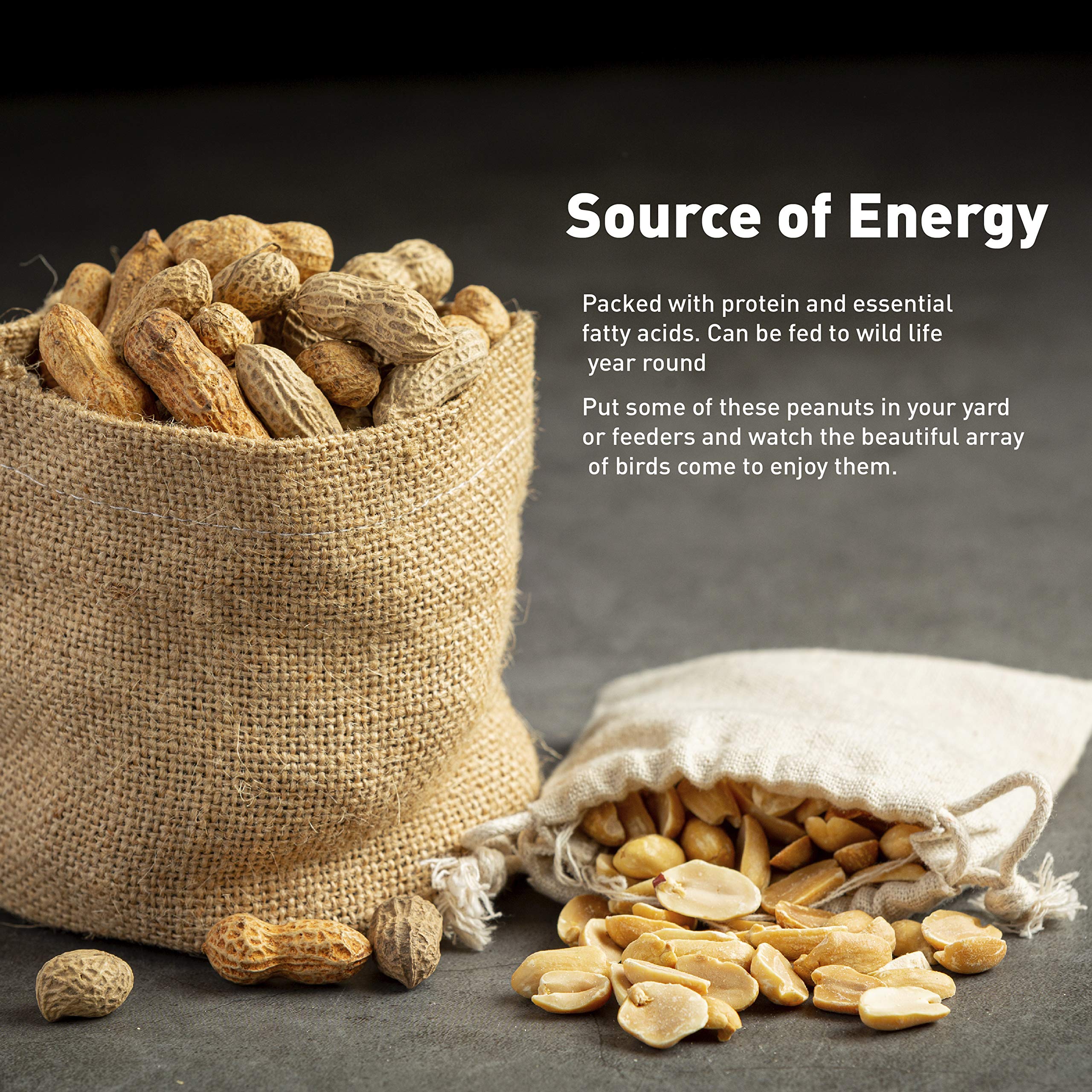 Amazon.com: EASYGO PRODUCTS 25 Pound Bag Animal Peanuts in