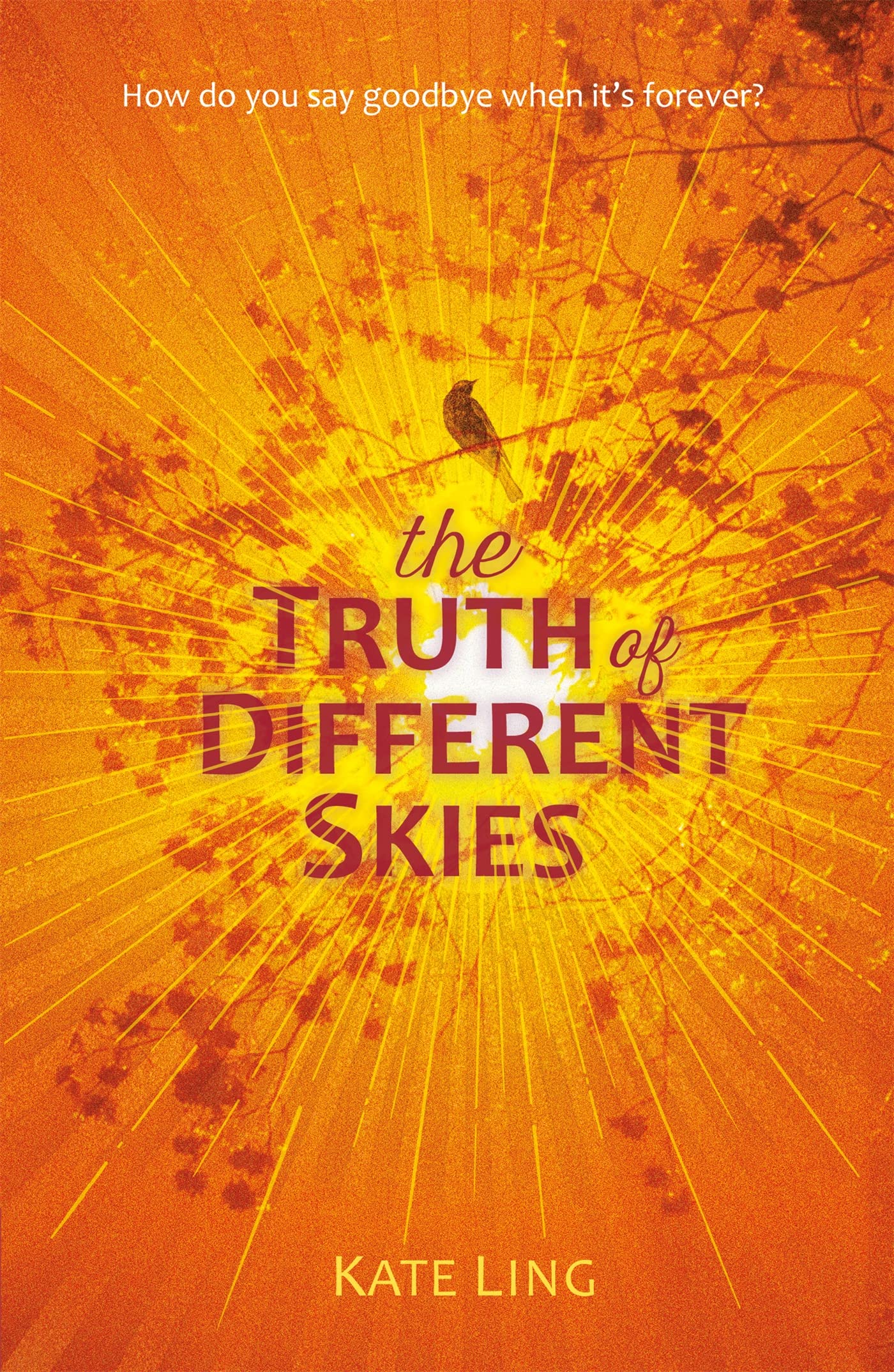 The Truth of Different Skies Book 3 By Kate Ling NEW (Paperback) Fiction Book