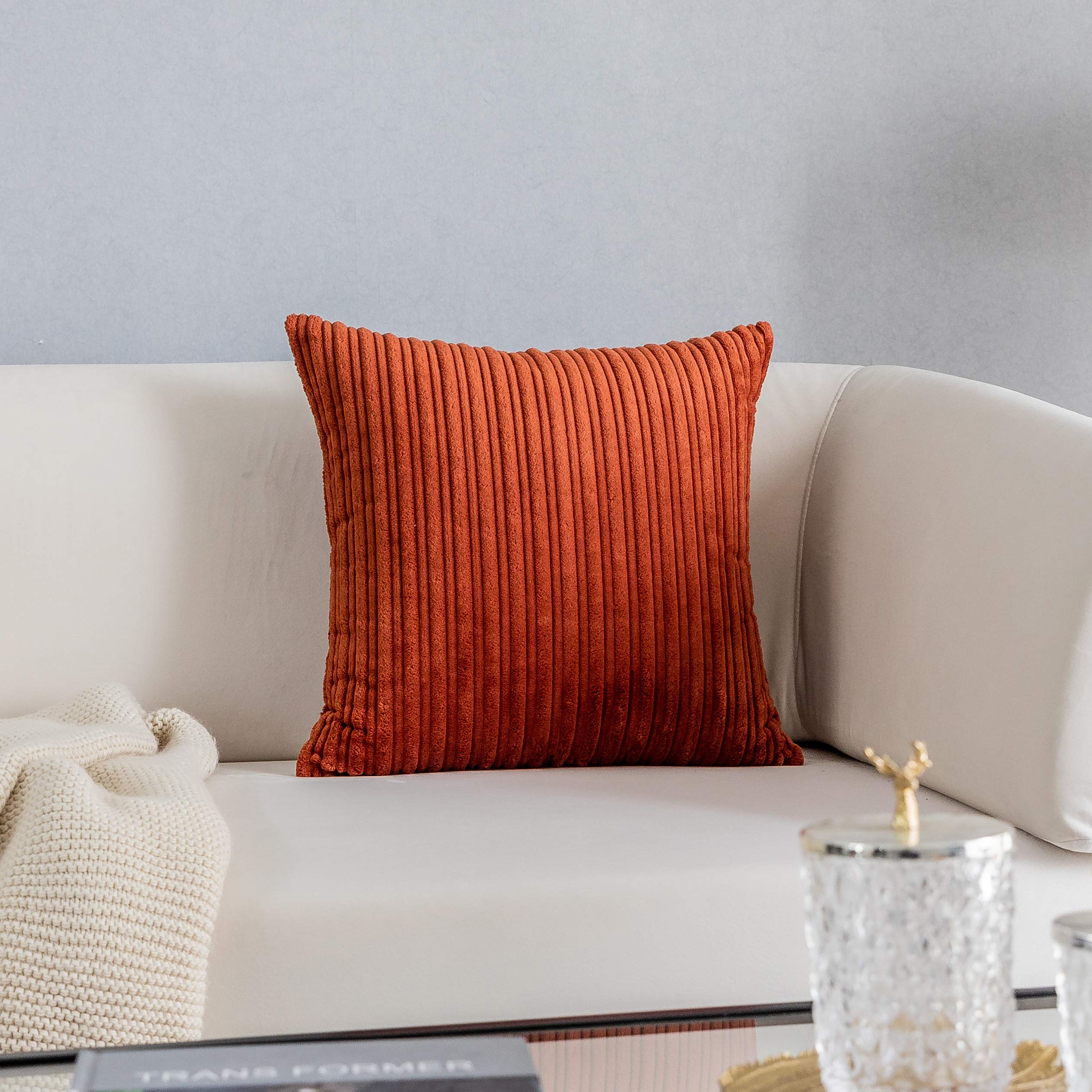 Kevin Textile Set of 2 Striped Textured Velvet Corduroy Decorative Europe Sham Throw Pillow Cushion Cover for Couch (60x60 cm - Image 4