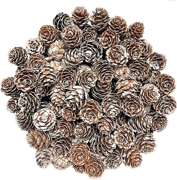 100Pcs Christmas Pinecones, Christmas Snow Pine Cones Natural Pine Cones Miniature Pine Cones Small Pinecones for Christmas Party Ornament DIY Crafts Home Winter Decoration1-2cm