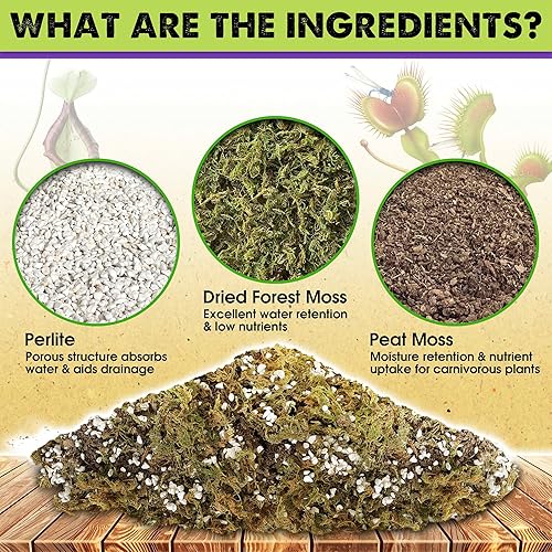 Miniatura 2 de DUSPRO Mezcla de suelo para plantas carnívoras de 3 cuartos incluye musgo de bosque, turba, mezcla para macetas de perlita para plantas carnívoras,