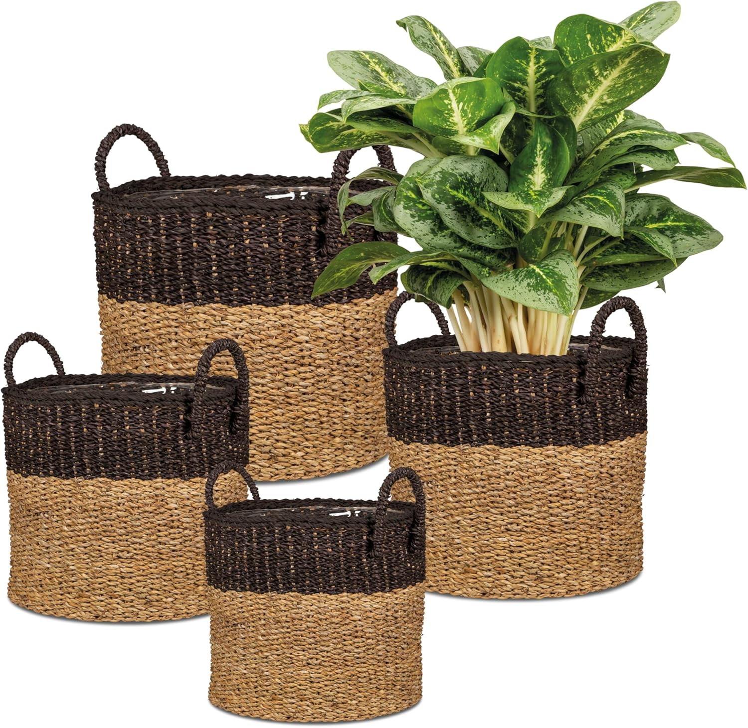 Scheurich Seagrass 33, Basket Planter/Basket Planter/Basket Pot with Seagrass Handles, Colour: Nut Brown, 35 cm Diameter, 31 cm High, 26.9 L Vol.