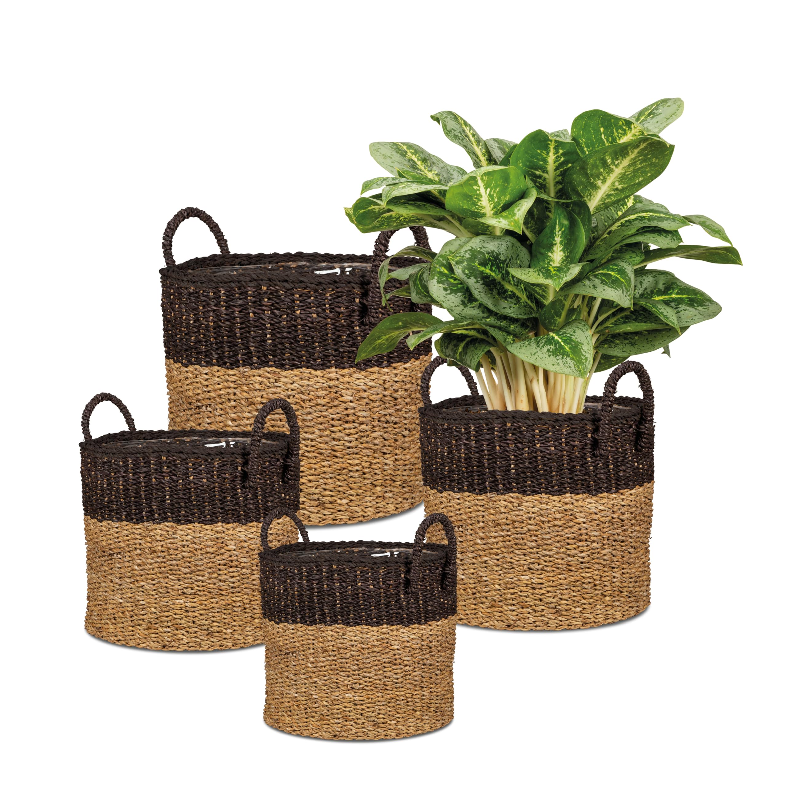 Scheurich Jonc de mer 33 - Panier à plantes avec poignées en jonc de mer - Couleur : marron - Diamètre : 35 cm - Hauteur : 31 cm - Volume : 26,9 l