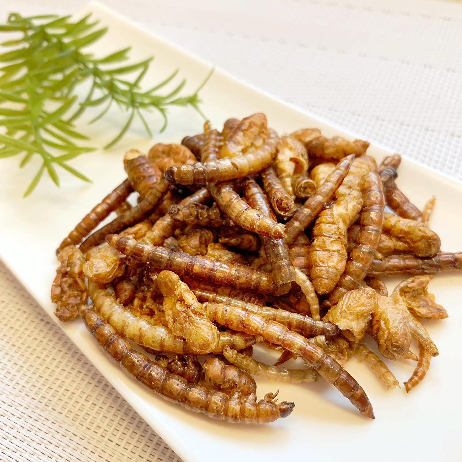 843円 新しい季節 昆虫食を味わう 食用 スコーピオン タガメ コガネムシ 食べ応え抜群の