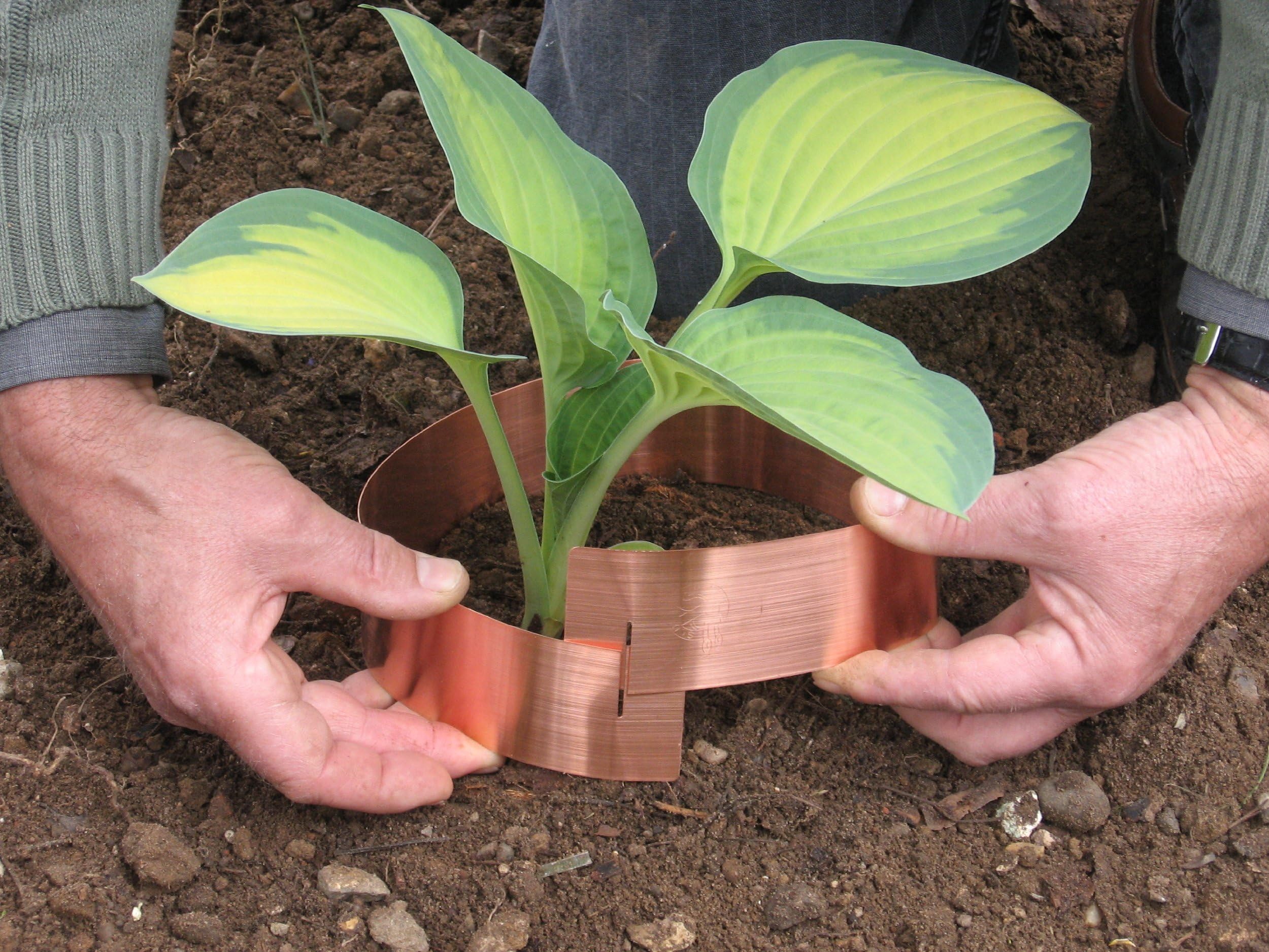 Slug banned Large Pack of 10