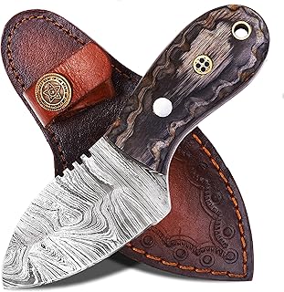 Ancilla Handmade Damascus Hunting Knife - EDC Camping Knife - Fixed Blade Mini Pocket Predator Hunter Viking Knife - Full Tang Bushcraft and Skinning knife with leather sheath
