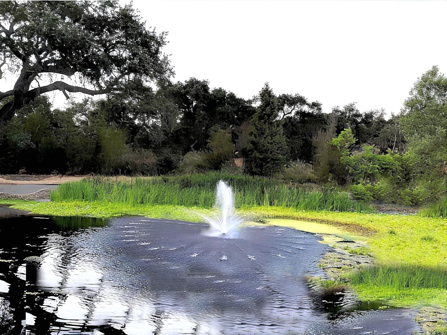 Custom Pro FT 14000 GPH Floating Pond Fountain & Aearator | Complete Kit with 14,000 GPH Pump, 200 Foot Power Cord, 3 Spray Styles and More | 100% USA-Based Customer Service and Warranty Support!