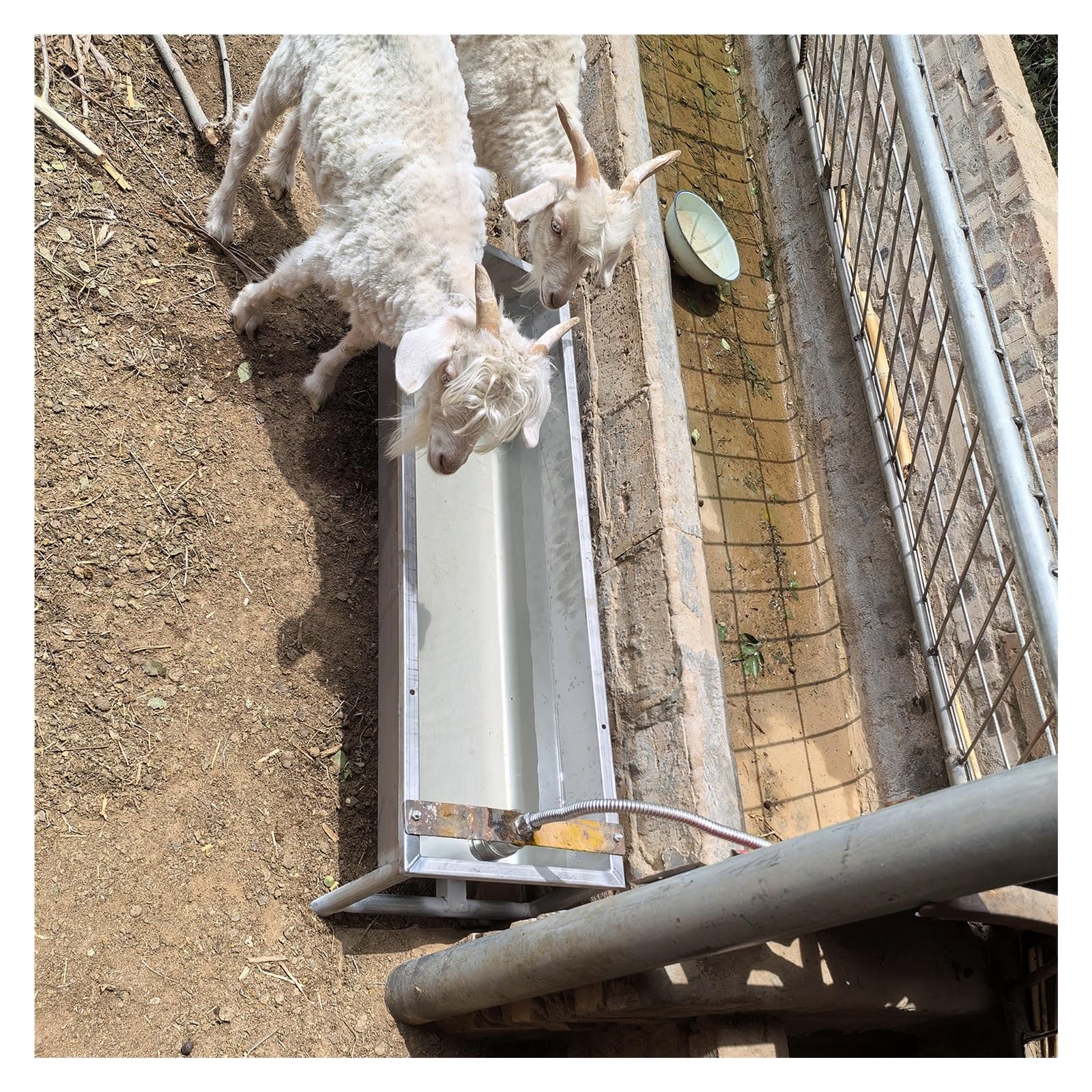 Bebedero de Acero Inoxidable para Perros, Cabras, Vacas y Caballos, comedero de Gran Capacidad Resistente a la Intemperie, comedero portátil para Aves de Corral y pastos en Granjas al Aire l