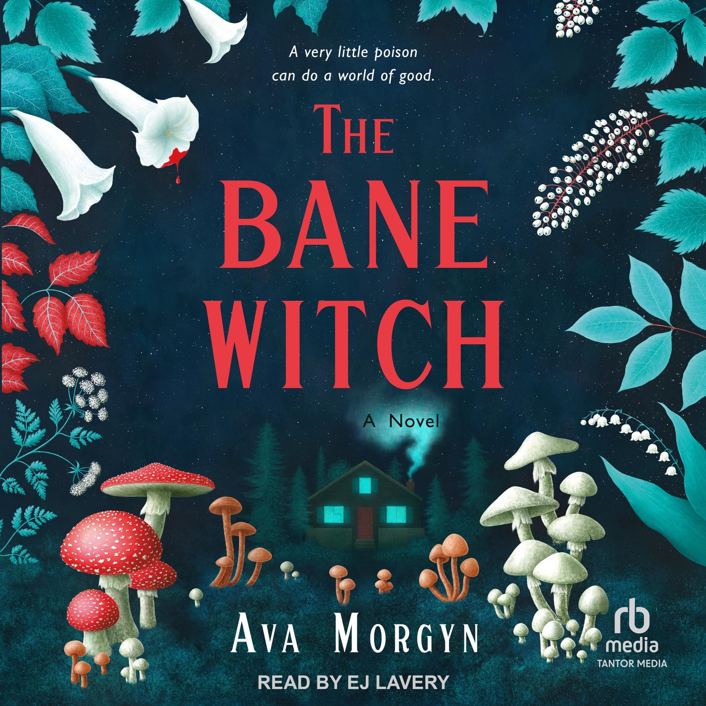 Cover art for The Bane Witch