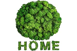 Sukh Preserved Moss: Natural Green Moss for Indoor and Outdoor Décor