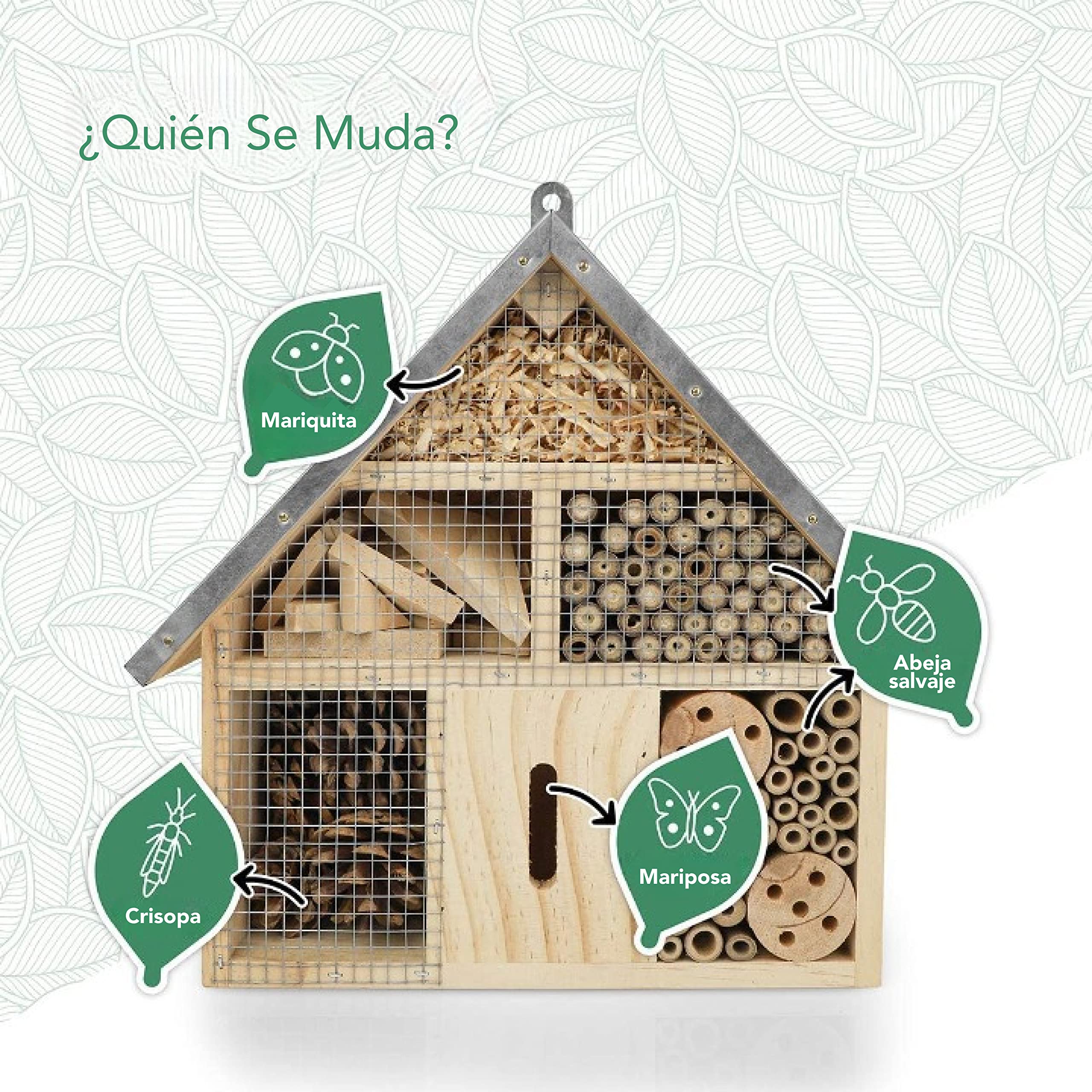 WILDLIFE FRIEND Hotel para Insectos con Techo de Metal. Casa para Insectos en Madera Natural para Abejas, Mariquitas, crisópidos, Mariposas. Mariposario