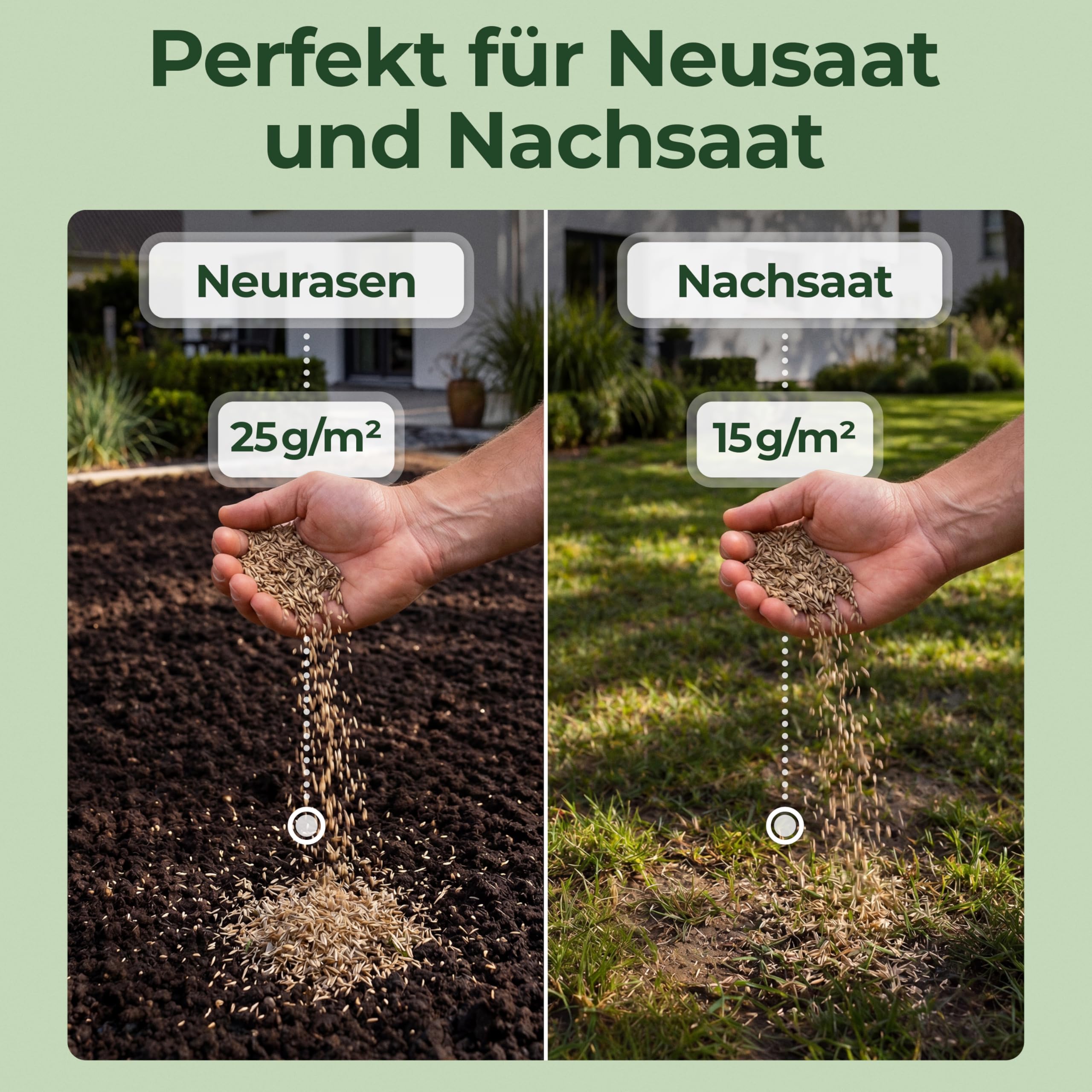 Schattenrasen Rasensamen 1 kg – Rasen für schattige Flächen & wenig Sonne – robuste Grasmischung für dichten Schattenrasen – ideal für Nachsaat & Neuanlage – für bis zu ca. 40 m² Rasenfläche