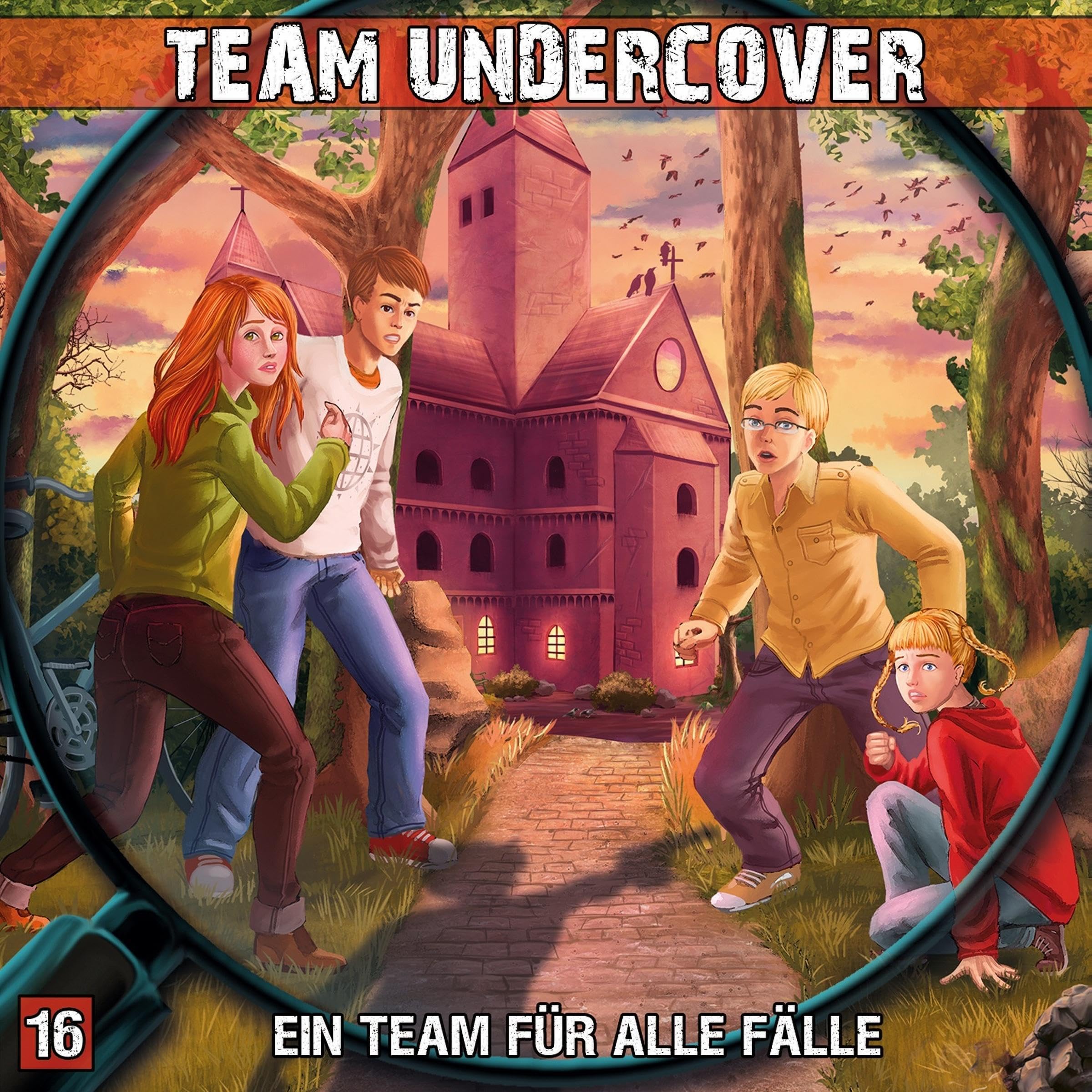 Cover art for Ein Team für alle Fälle