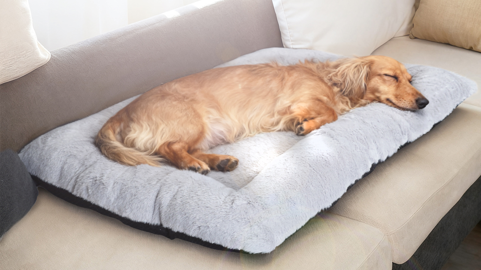 Amazon.com : Dog Crate Bed 18 Inch Washable Dog Beds for XX-Small