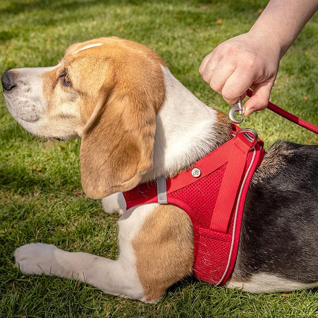 Foto 5 de 6 de Magnetic Vest Harness Air-Mesh V2 Red L