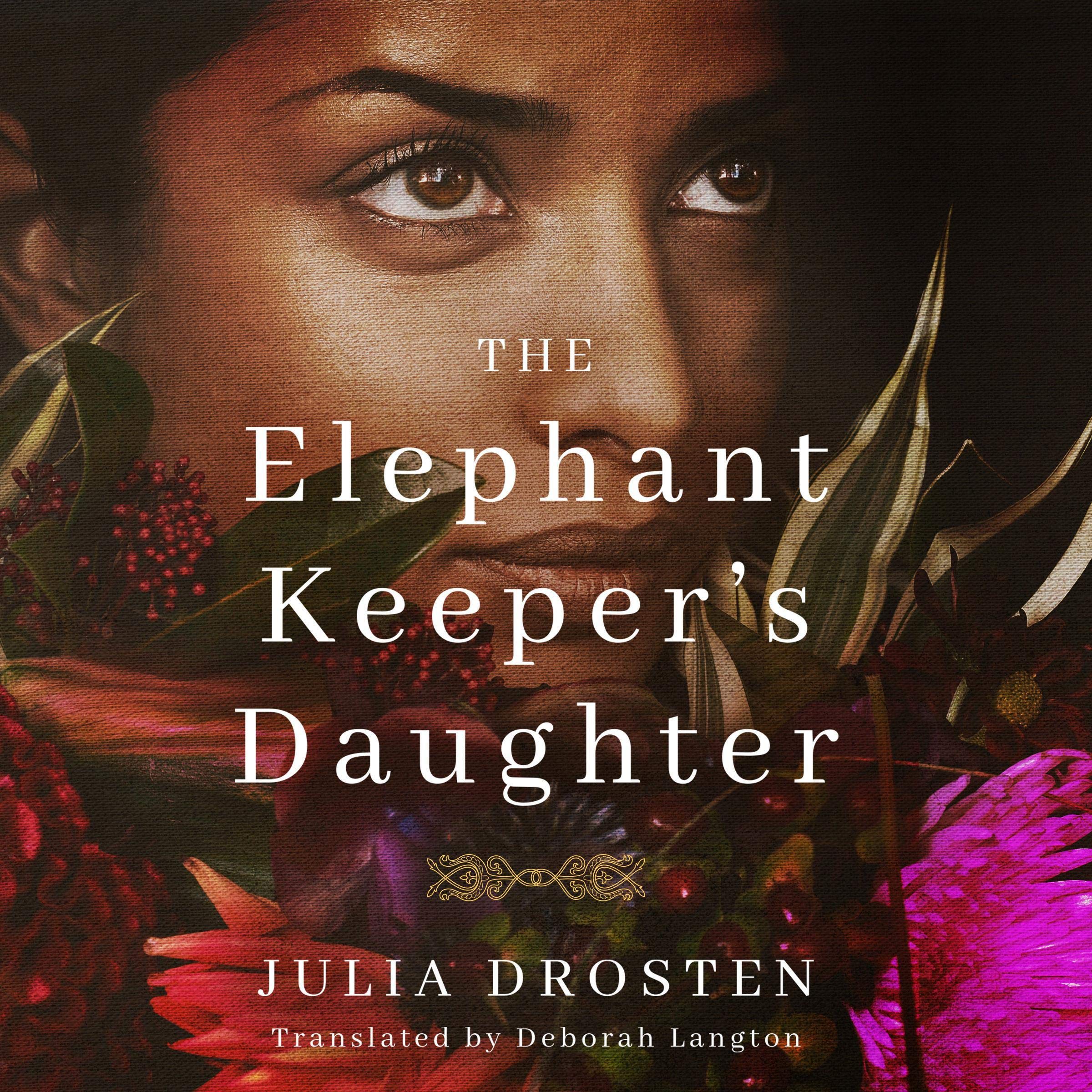 Cover art for The Elephant Keeper's Daughter