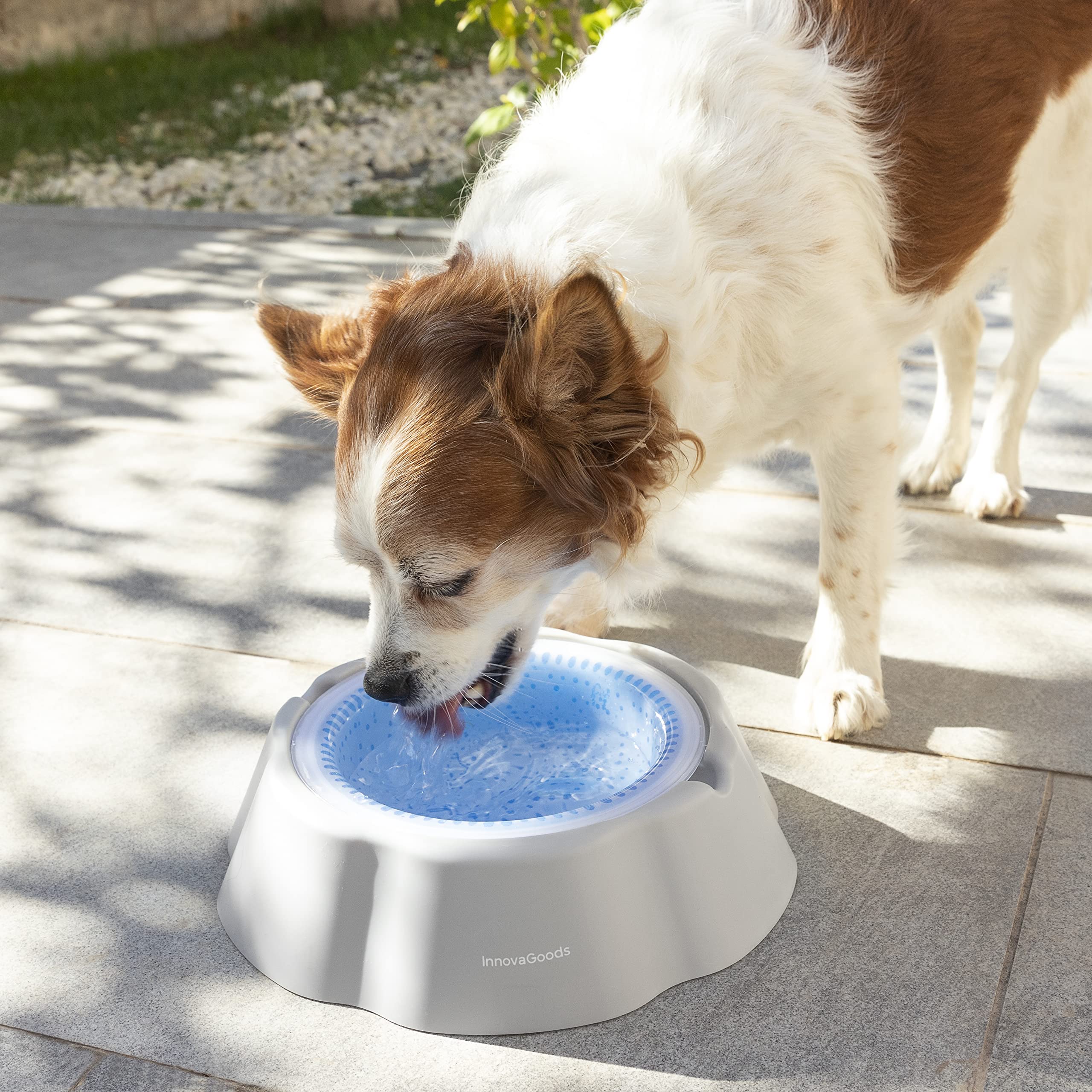 Bebedero Refrescante para Mascotas Freshty InnovaGoods, Gris Azul