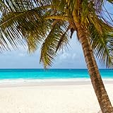 Beach Wallpapers