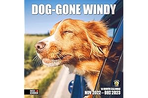 Red Ember Wall Calendar 2023