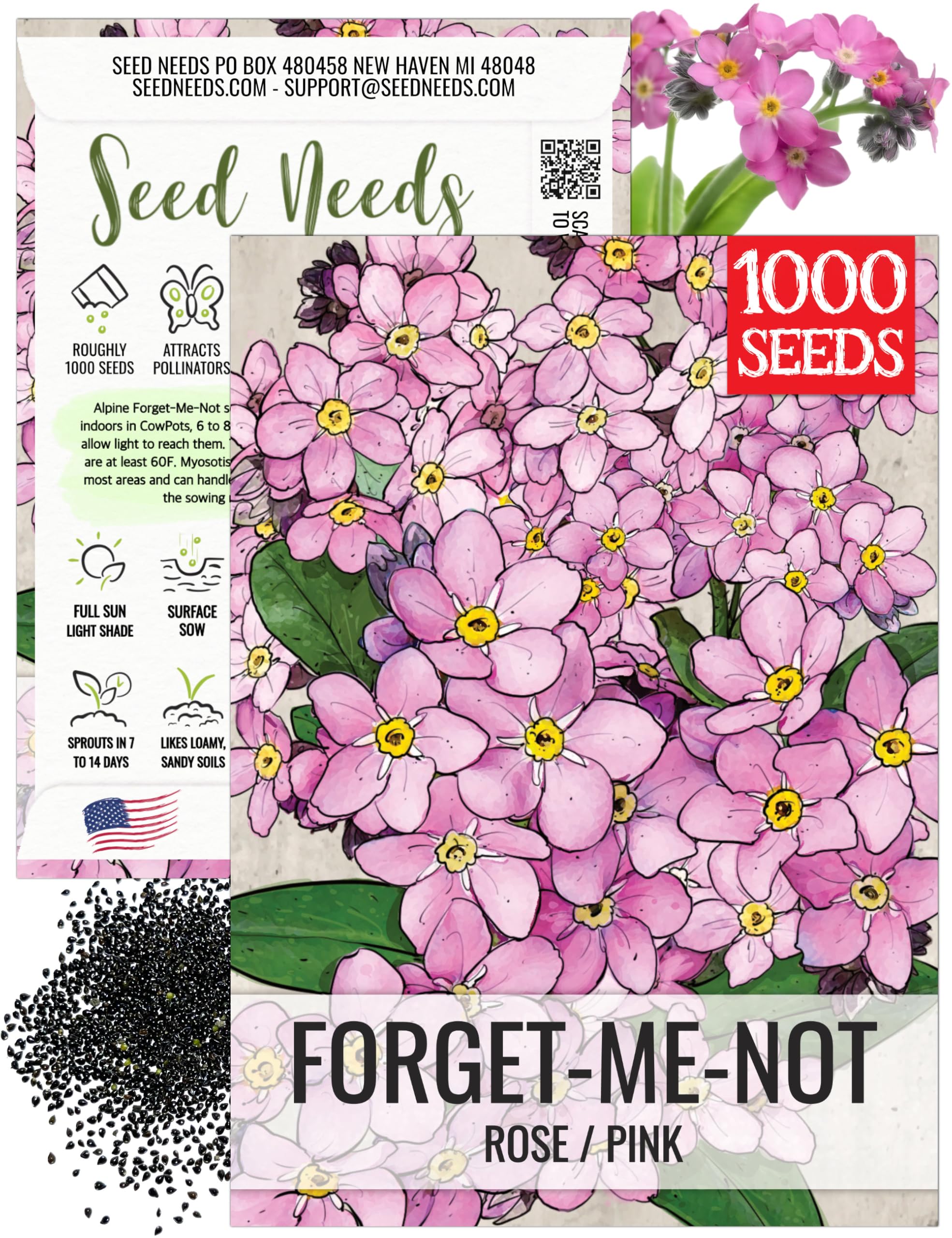 Amazon.com: Seed Needs Forget Me Not Seeds for Planting Rose