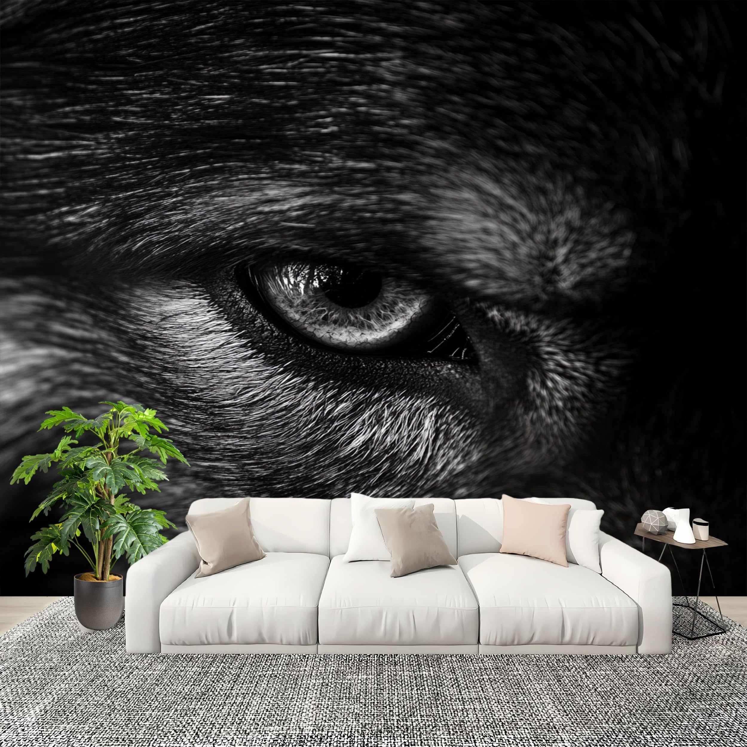 Papier peint panoramique loup gris 200x140 cm pour chambre enfant intissé