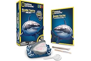 National Geographic Dig Kits - Shark Teeth Dig Kit
