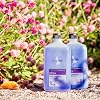 Product Photo 7