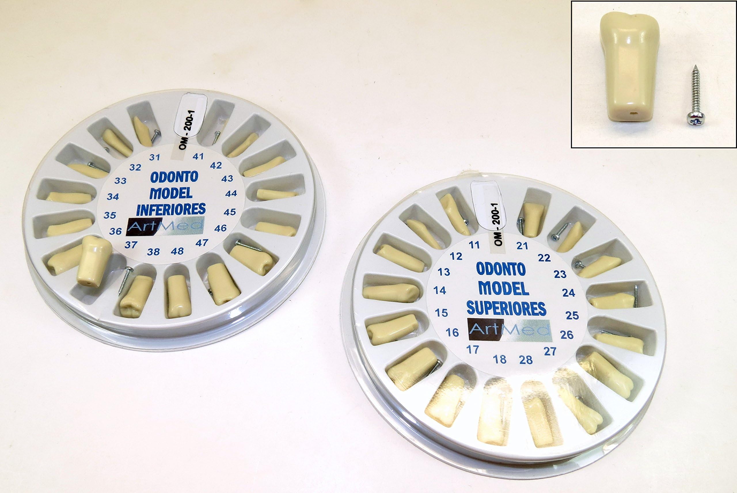 Replacement Typodont Teeth Ivorine Model 200 Upper Lower Complete Kit ARTMED