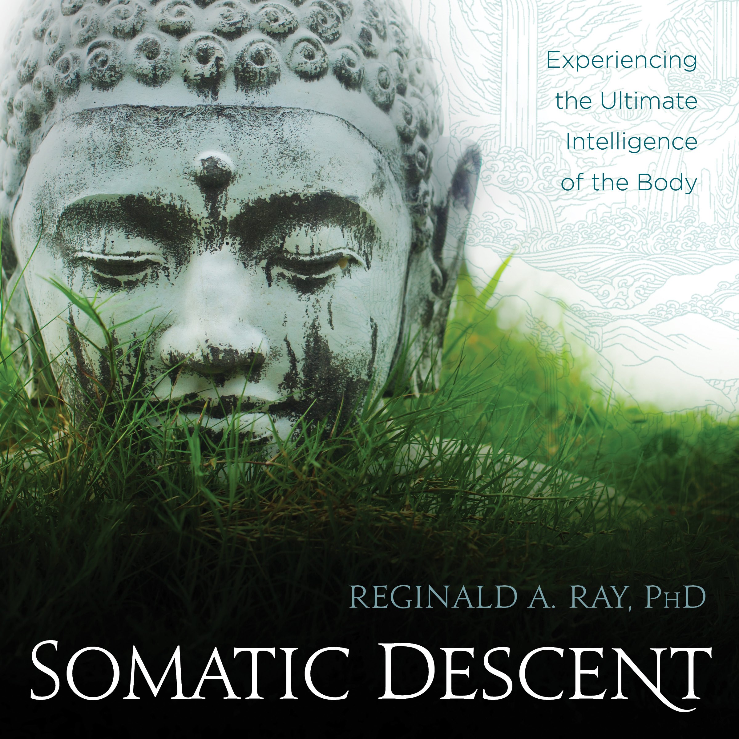 Cover art for Somatic Descent