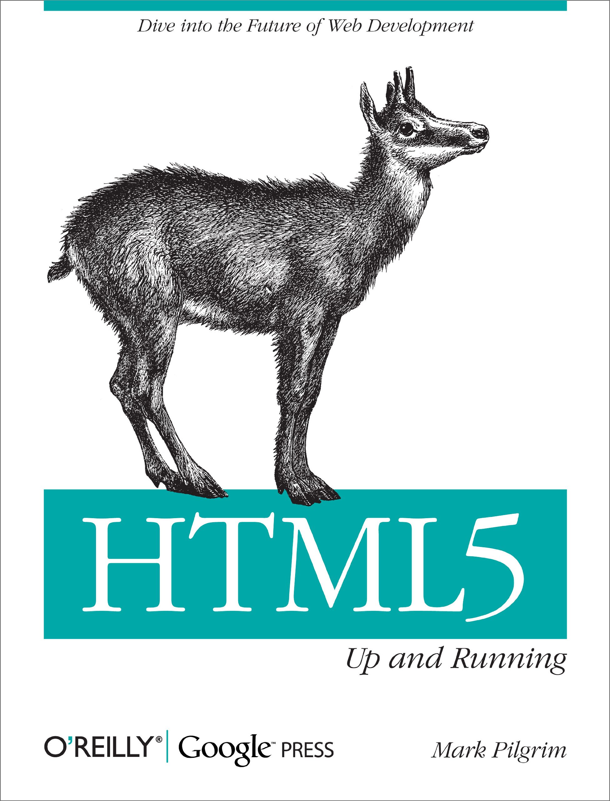 Html5: Up and Running: Dive Into the Future of Web Development (OREILLY)