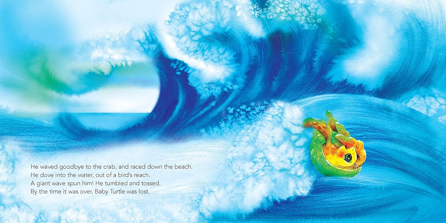 Baby Turtle's Tale - Image 4