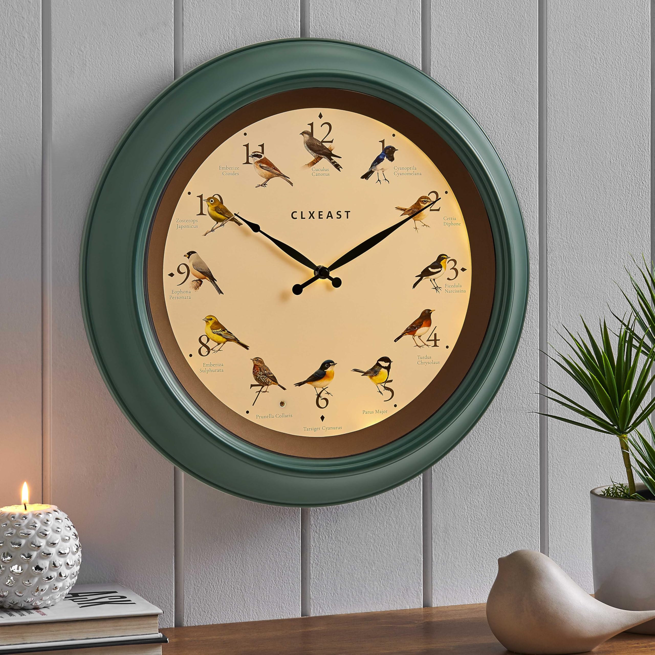 CLXEAST Reloj de pared de pájaro cantando de 45,7 cm, luz nocturna iluminada, acabado verde bosque