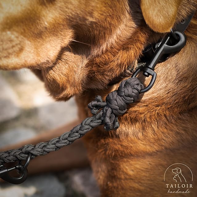 Foto 5 de 8 de Tailoir Correa Perro 2 Metros - Correa para Perros, Correas Perros, Negro