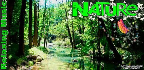 Natureza música relaxante