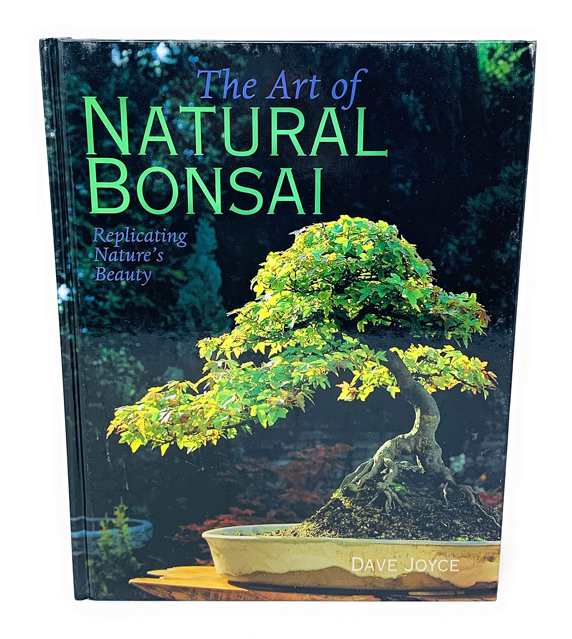 Art du Bonsai Naturel : comment réussir la taille et l'entretien sans faire mourir vos arbres